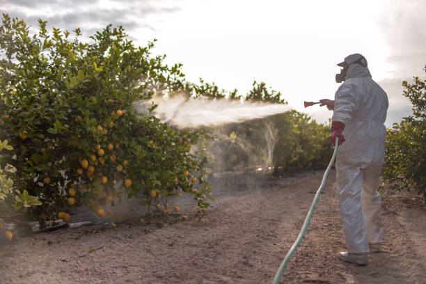 Best Affordable Pest Control Services  in Westerville, OH
