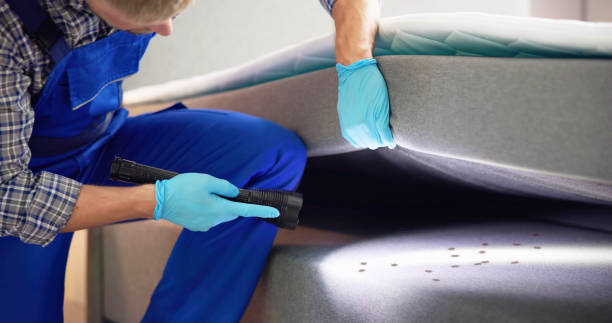 Best Pest Control Near Me  in Westerville, OH
