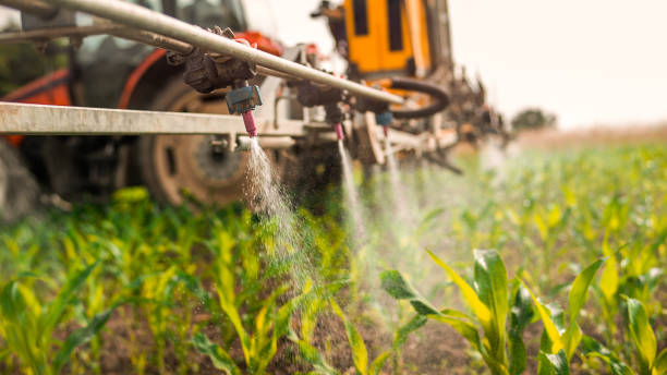 Best Pest Removal Services  in Westerville, OH